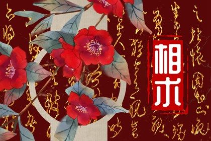 左下眼皮跳是什么意思 左下眼皮跳民间说法