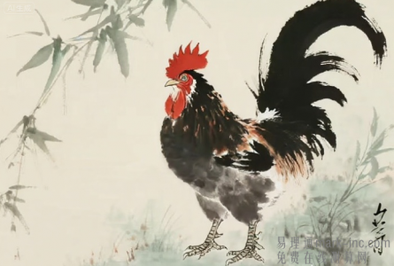 属鸡的和什么属相最配 相克